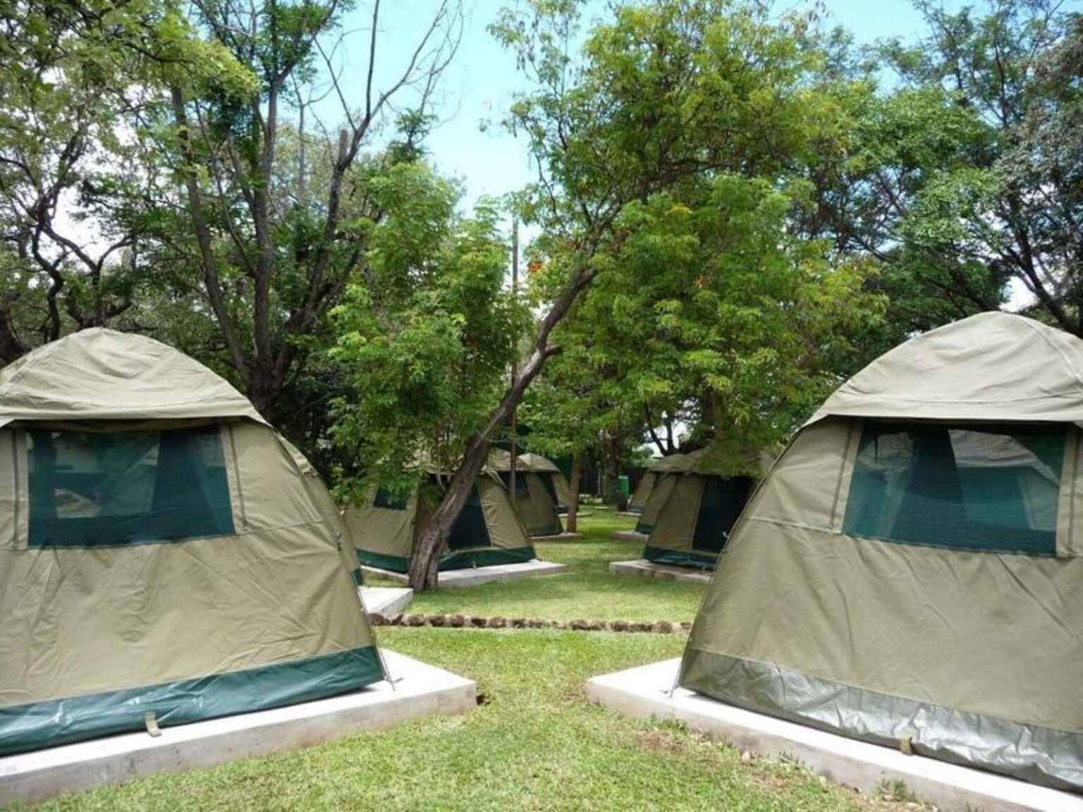 Safari tents beneath the trees at Rest Camp